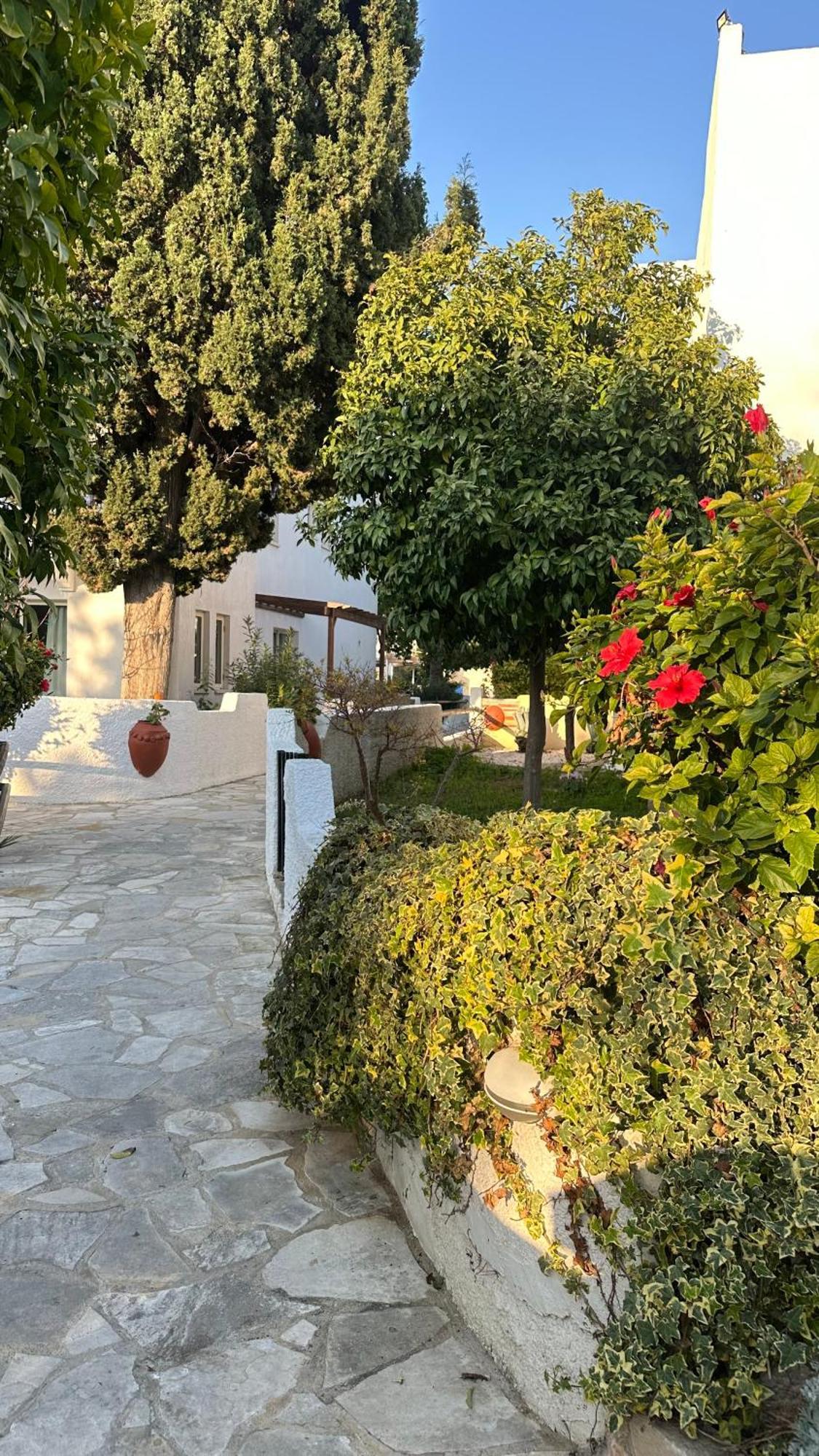 Paphos gardens studio suite Exterior foto